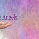 Angel Cards Reading : Half-day : £100