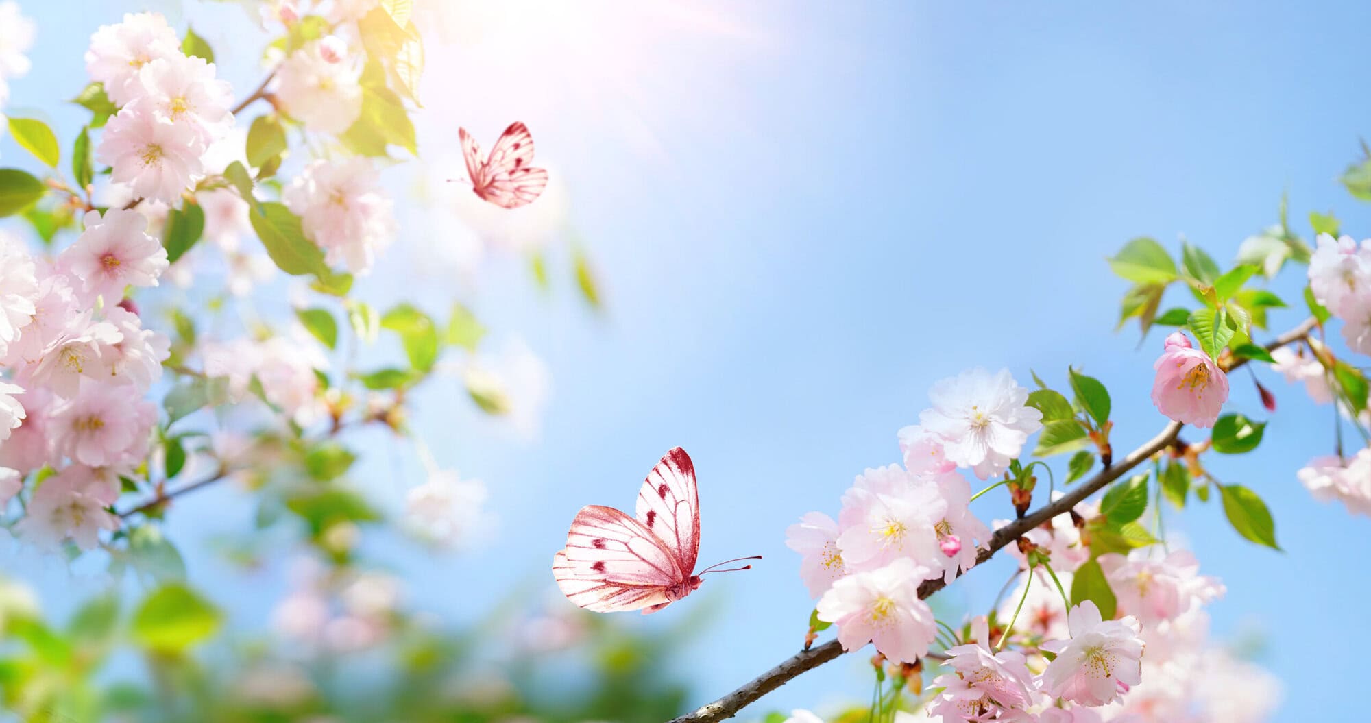 Spiritual Life Coaching - 3 days - £435